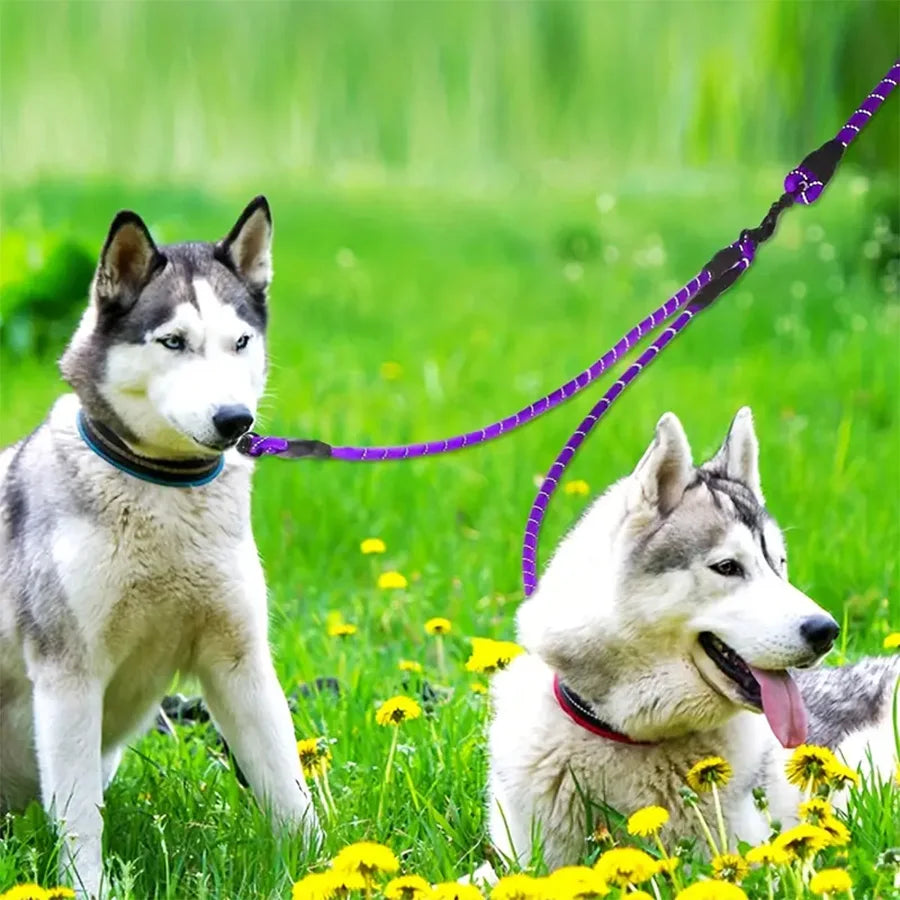 Dual Dog Leash – 360° Swivel No-Tangle Walking Lead for Small Dogs