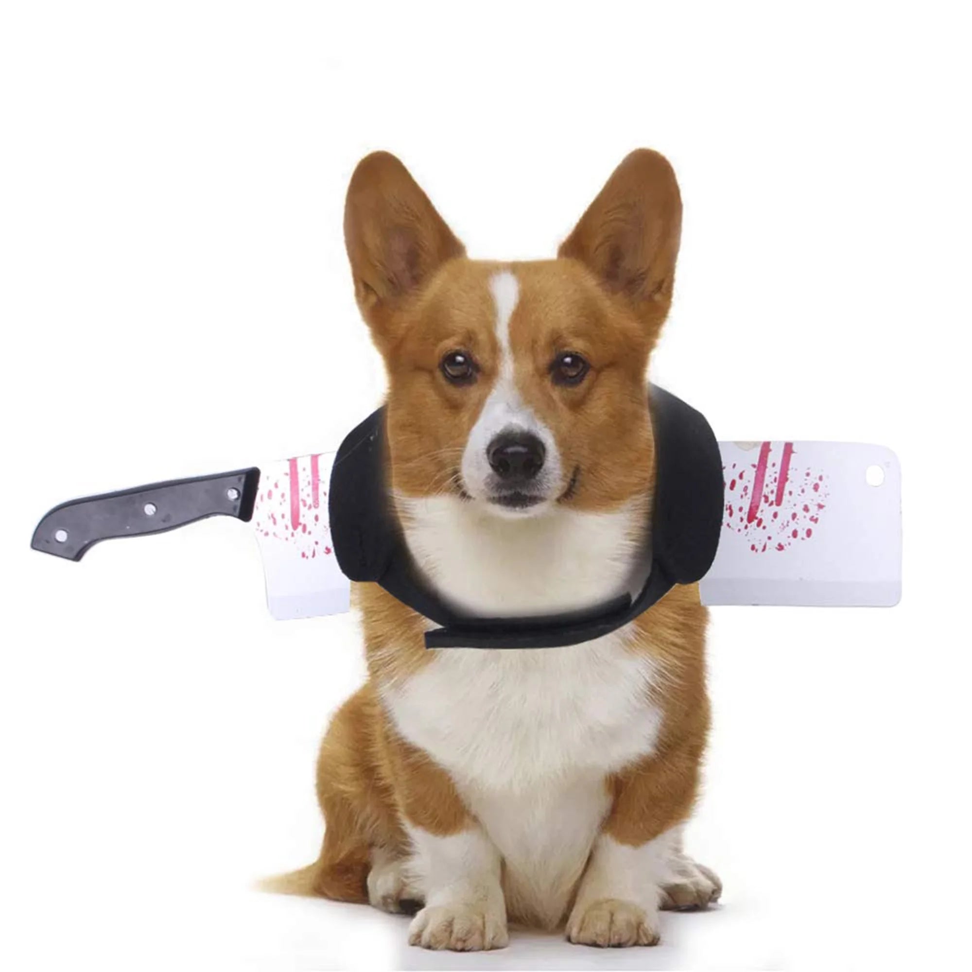 Funny Shark Hat Costume – Halloween Pet Outfit for Small Dogs & Cats