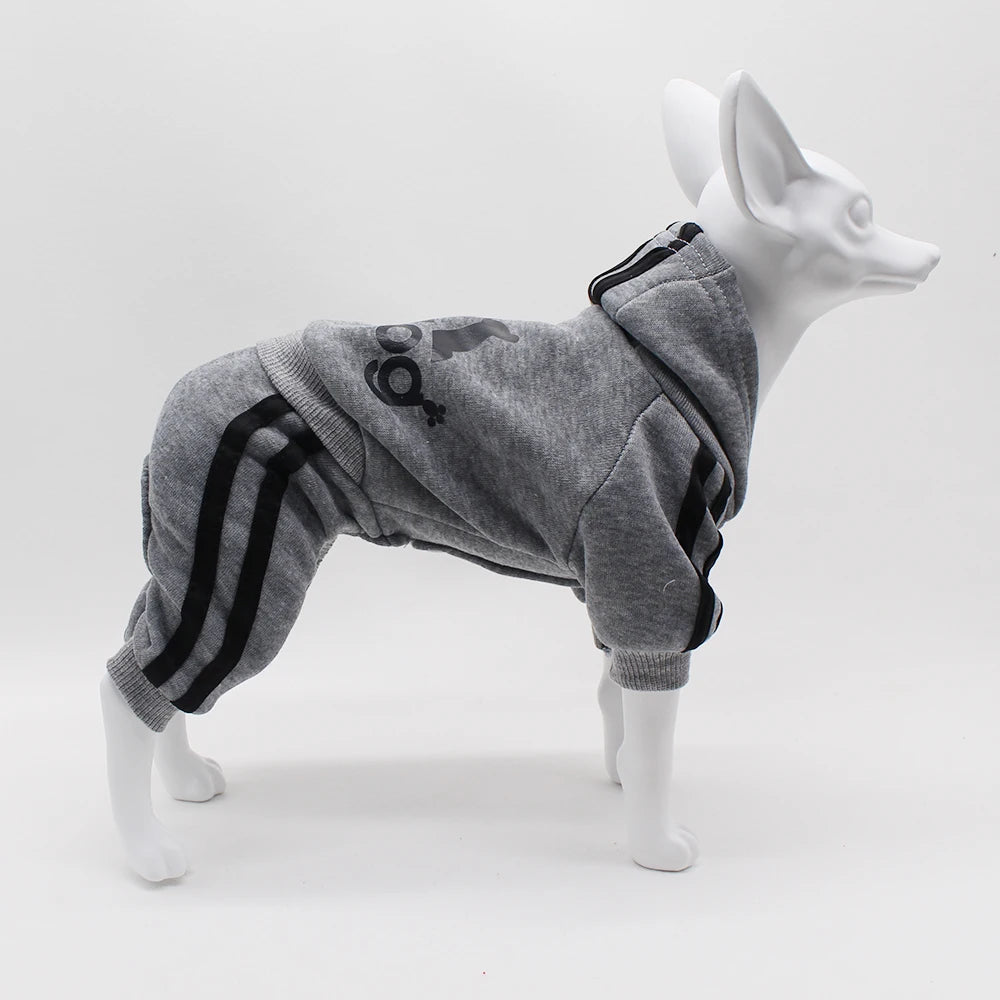 Adidog Dog Jumpsuit – Sports Suit for Small Dogs