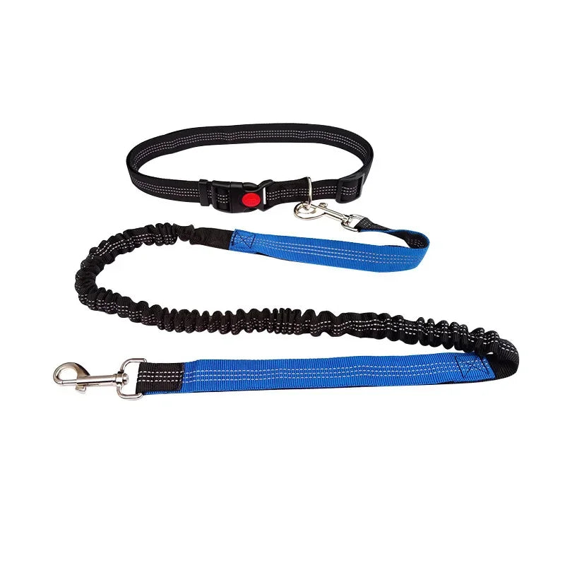 Hands-Free Dog Leash with Waist Belt – Adjustable for Walking, Running & Jogging