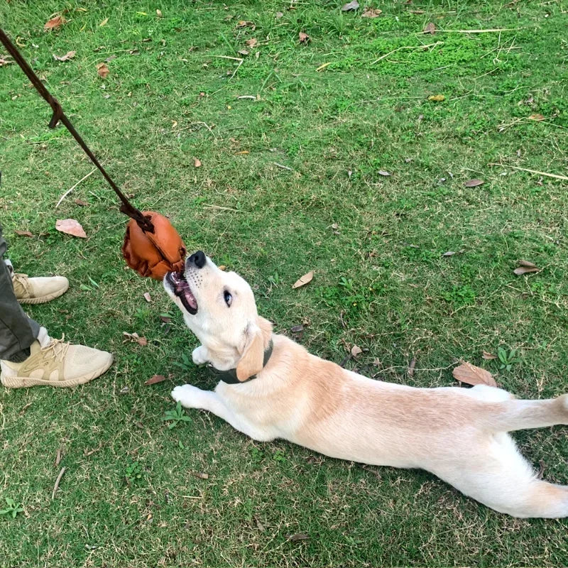 Leather Dog Training Ball – Tug & Bite Toy with Handle