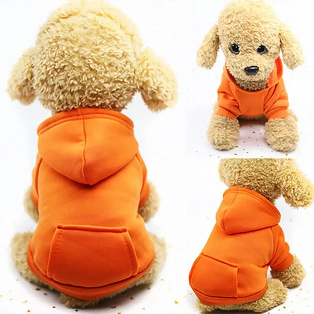 Puppy Pet Hooded Sweatshirt – Two-Legged Autumn/Winter Outfit with Pocket for Cats & Dogs