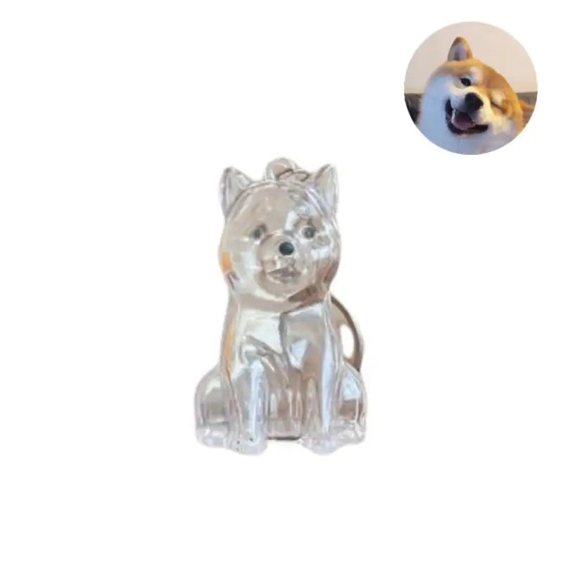 Cute Dog Hair Storage Keychain Transparent Pet Fur Keepsake Capsule Bag Pendant Decor Souvenir Collection Gift Memorial Jewelry