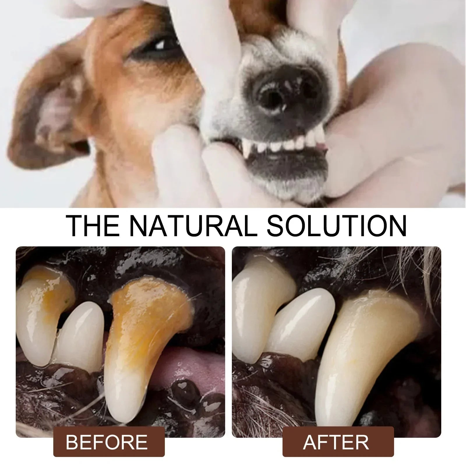 Pet Dental Care Spray – 30ml Oral Cleaning & Breath Freshener for Dogs and Cats | Deodorizing Tooth Cleaning Spray