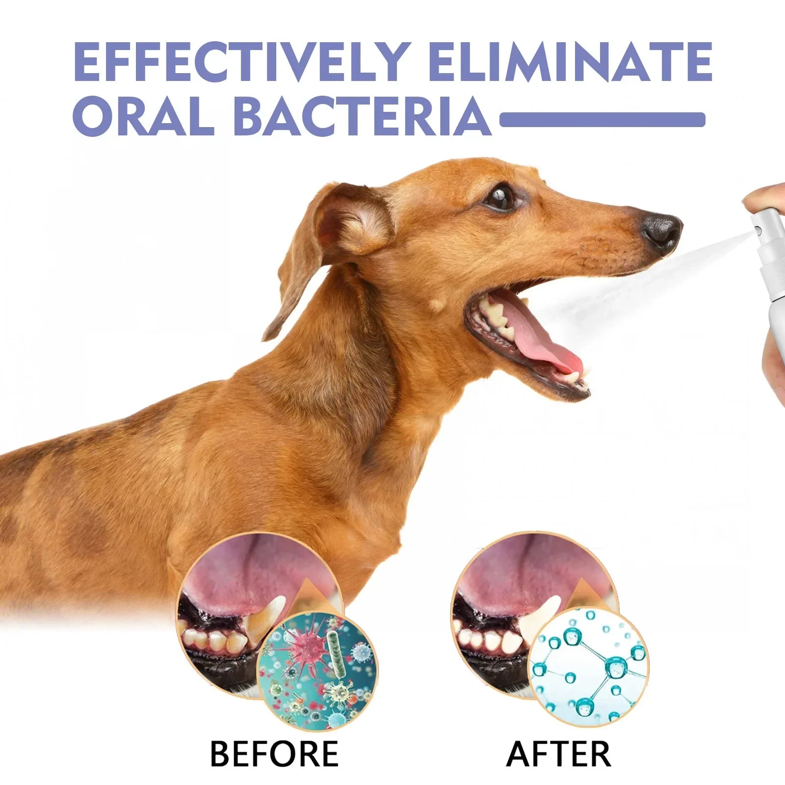 Pet Dental Spray – 30ml Tooth Cleaning & Fresh Breath Spray for Dogs & Cats, Oral Care & Bad Breath Deodorizer
