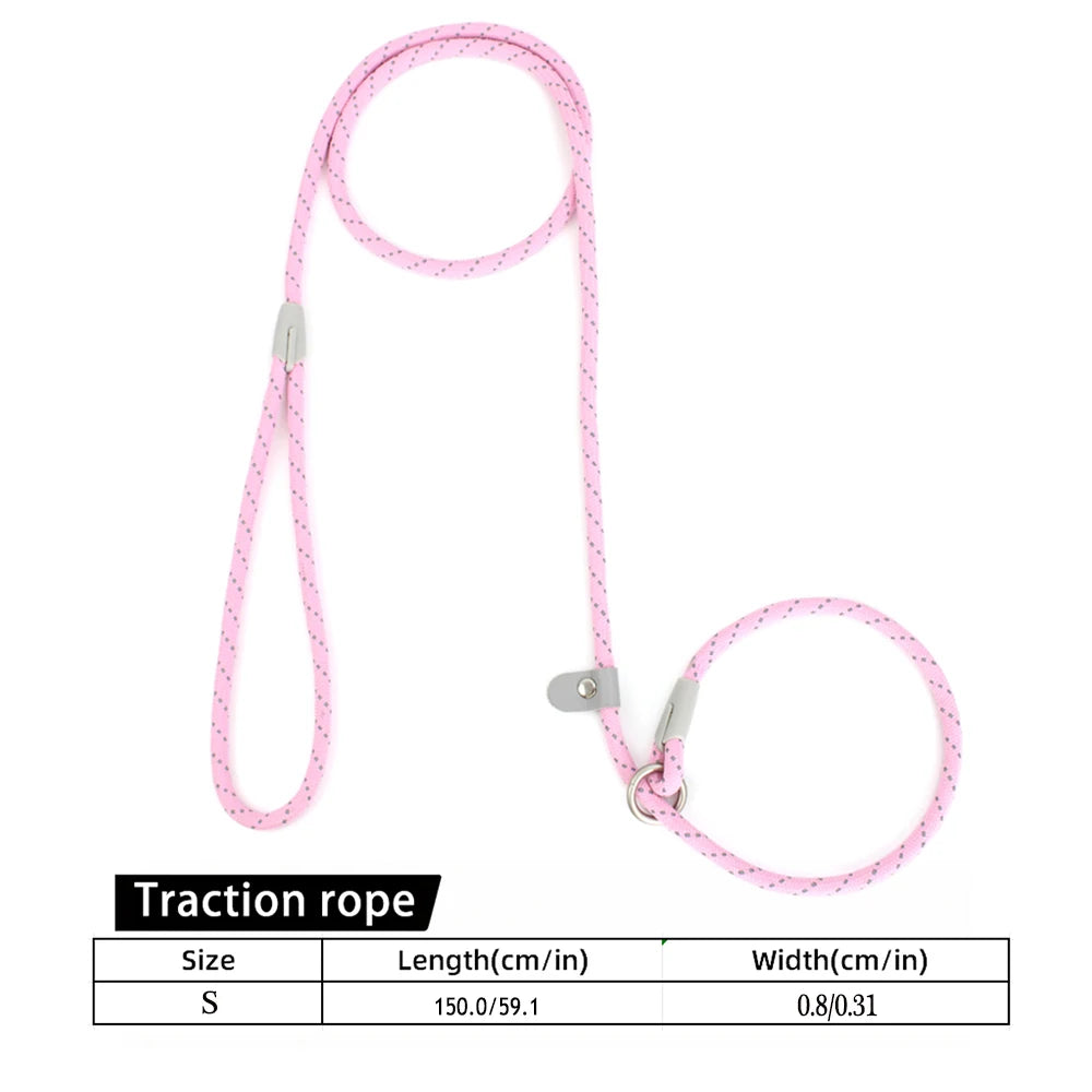 2-in-1 Classic Dog Collar and Leash Set – Adjustable Black Mesh P Rope Nylon Training Harness with Slip Strap