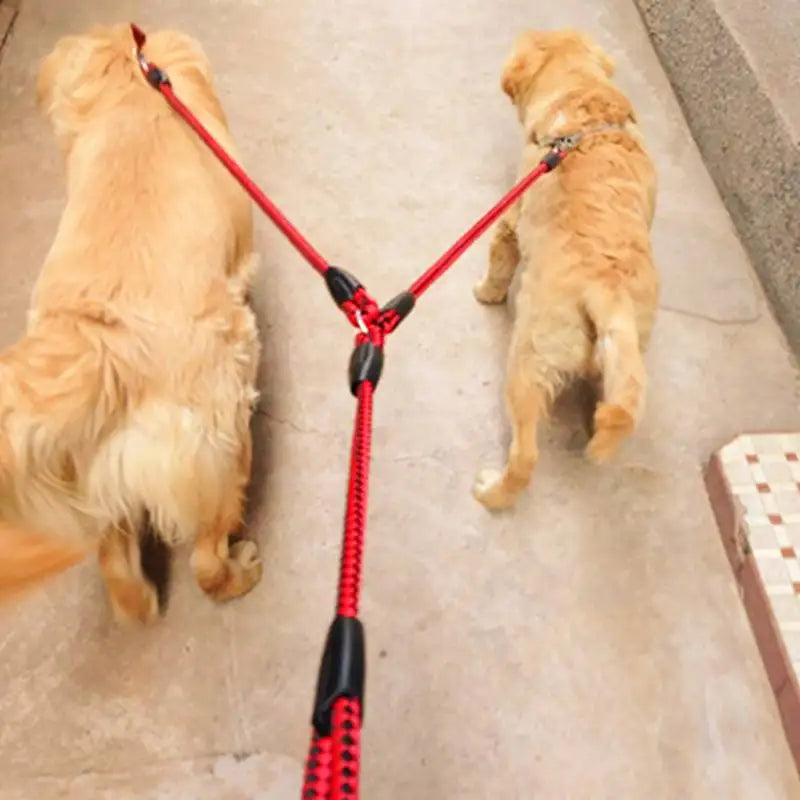 Double Dog Leash – 360° Swivel Tangle-Free Nylon Walking Leash for Two Pets