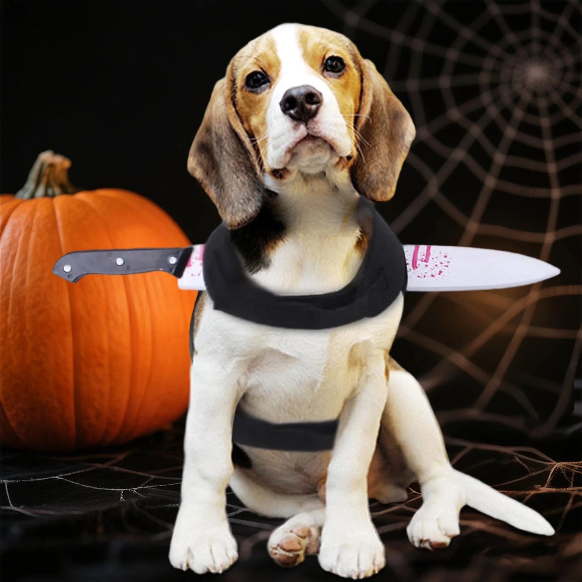 Funny Shark Hat Costume – Halloween Pet Outfit for Small Dogs & Cats