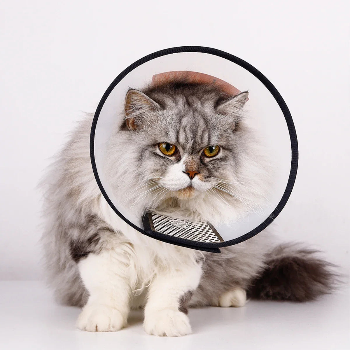 1pc Pet Elizabethan Collar for Dogs – Soft Comfy Cone for Post-Surgery Protection | Anti-Lick, Anti-Bite Recovery Collar