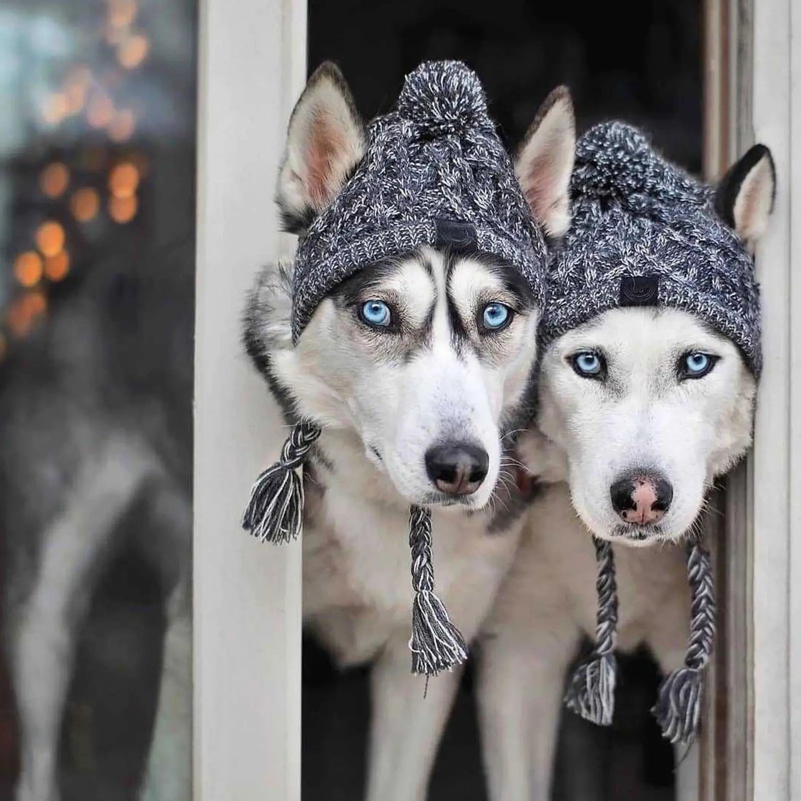 Winter Warm Knitted Dog Hat – Windproof Pet Beanie with Fluffy Pom for Small & Medium Dogs