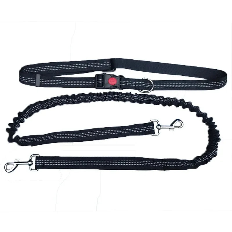 Hands-Free Dog Leash with Waist Belt – Adjustable for Walking, Running & Jogging