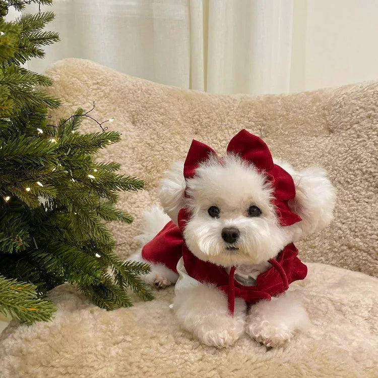 Winter Puppy Princess Dress – Warm Bow Knot Dog Dress Set with Hair Clip