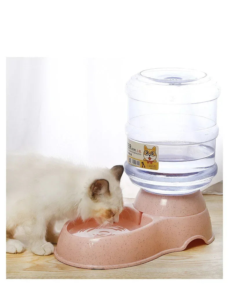 Automatic Dog & Cat Feeder with Water Bottle – 2-in-1 Pet Feeding & Drinking Station
