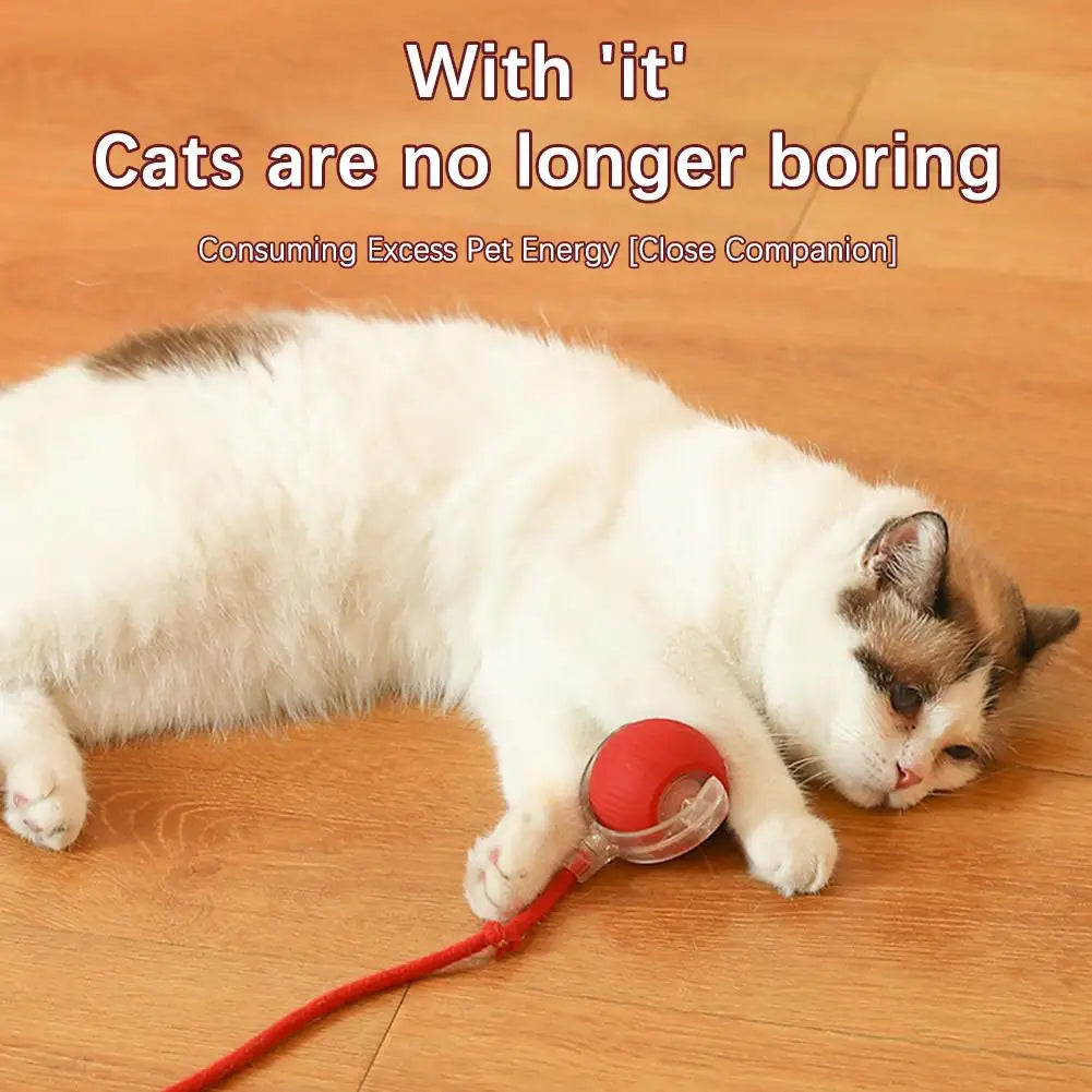 Rechargeable Automatic Cat Ball Toy – Smart Rolling Ball with Faux Tail for Interactive Play
