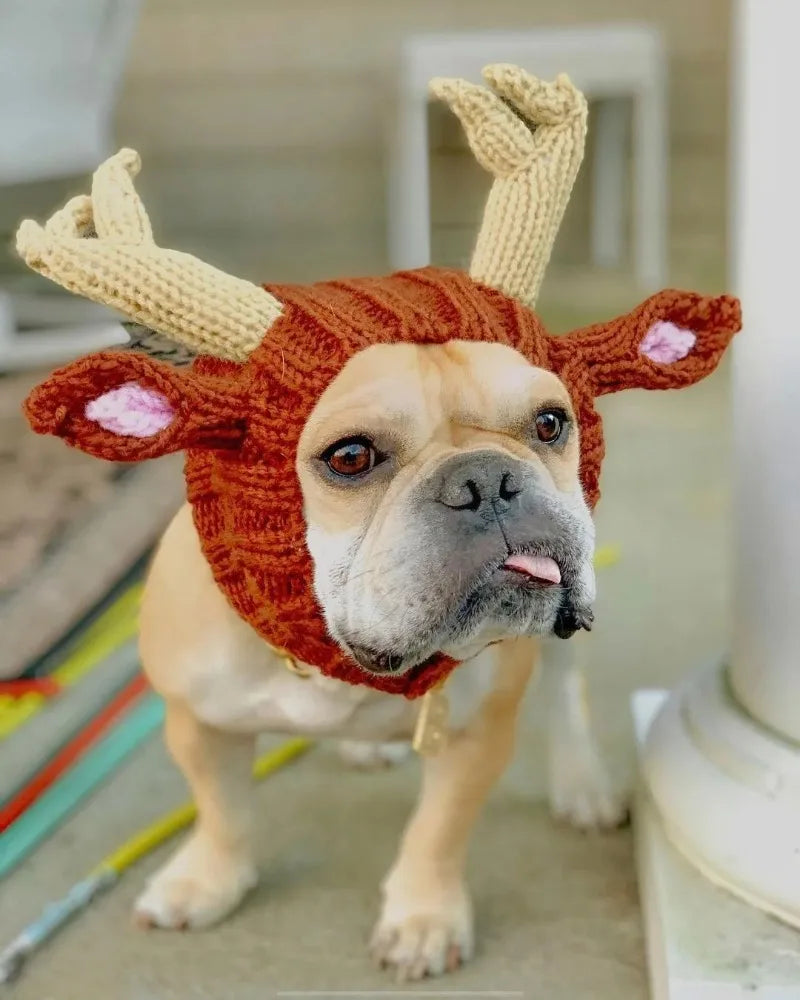 Christmas Elk Dog Hat – Knitted Warm Windproof Pet Headgear