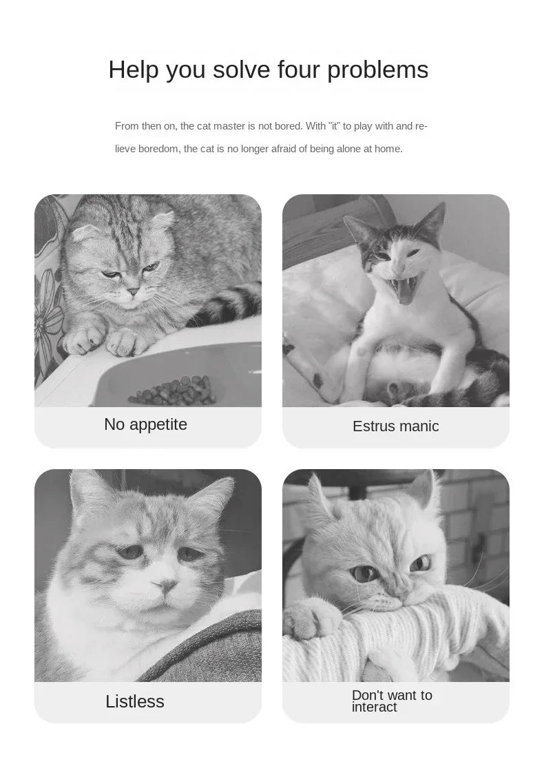 Silvervine Chew Sticks for Cats – Natural Catnip Dental Toy, Teeth Cleaning & Chewing Treats for Kittens & Adult Cats