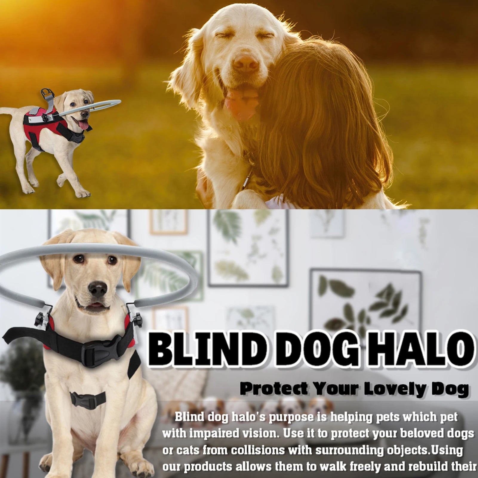 Blind Dog Halo Harness – Lightweight Anti-Collision Ring for Visually Impaired Pets (Fits 11"–20")