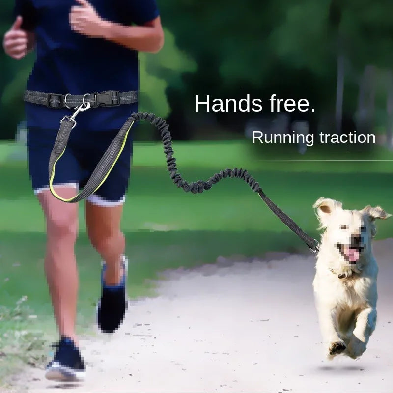 Hands-Free Dog Leash with Waist Belt – Adjustable for Walking, Running & Jogging