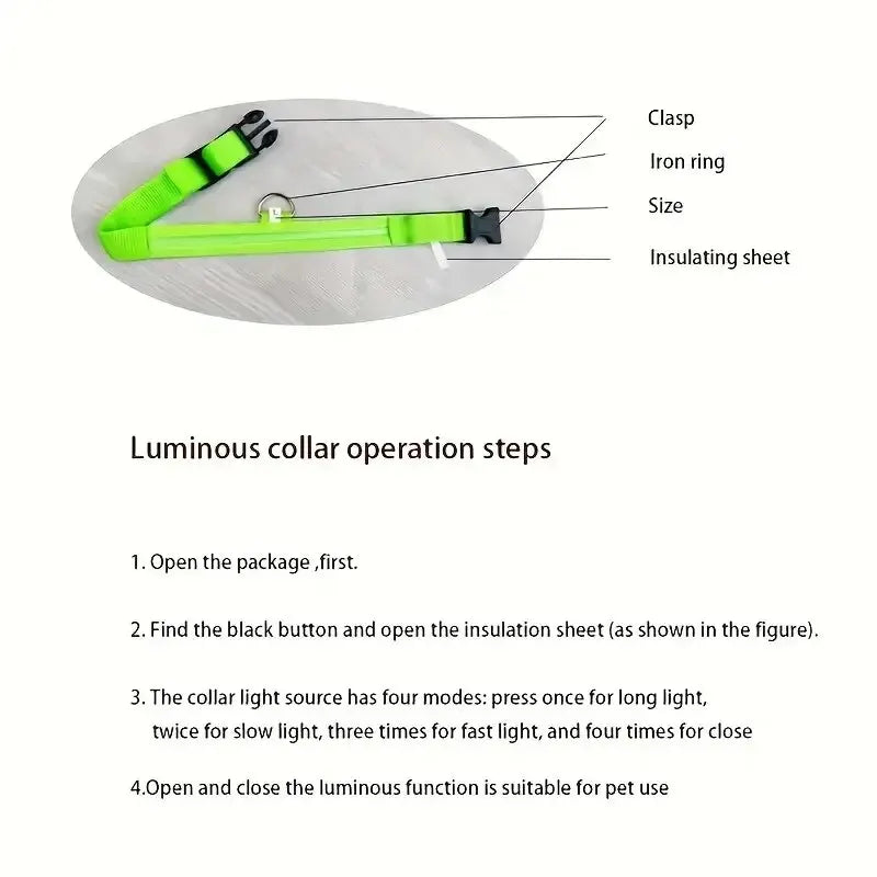 LED Dog Leash & Collar – Nylon Glow-in-the-Dark Safety Set for Night Walks