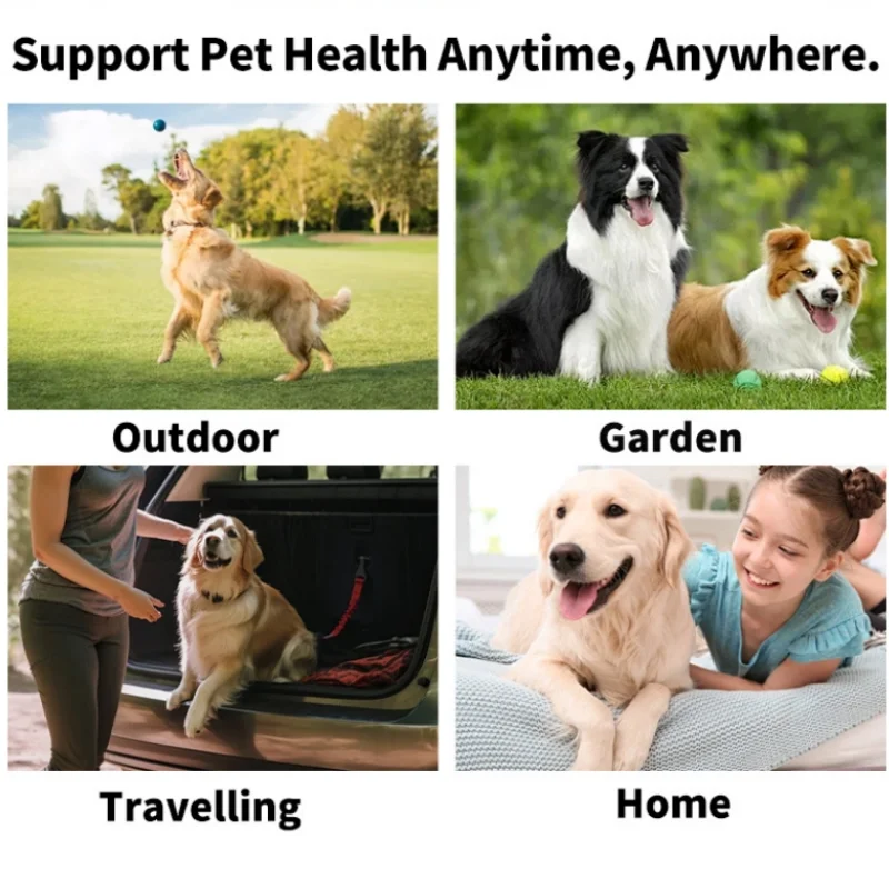 Pet Eye Wipes – Tear Stain Remover for Dogs & Cats, Gentle Cleaning Wet Tissues