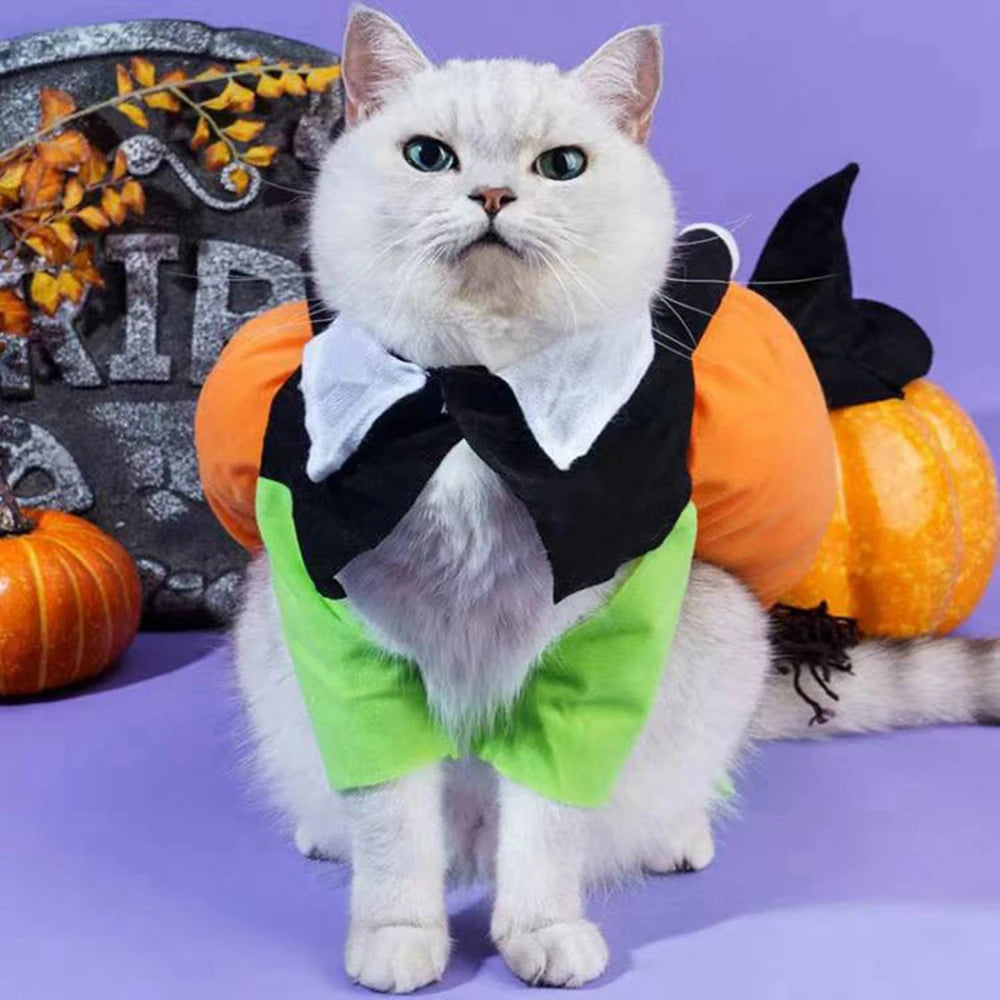 Pumpkin Cosplay Costume – Funny Halloween & Christmas Outfit for Dogs & Cats