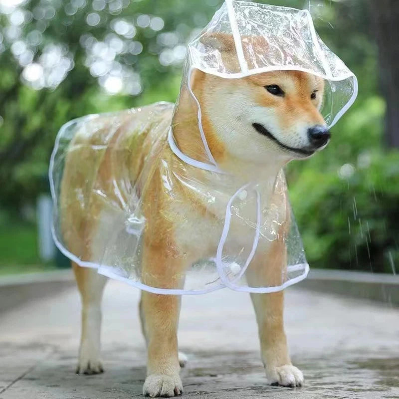 Transparent Dog Raincoat – Waterproof Hooded Rainwear for Small Dogs & Puppies