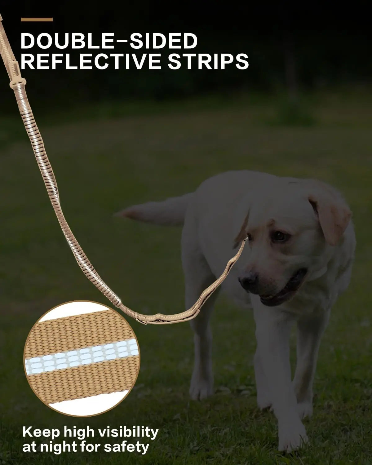 Reflective Shock-Absorbing Tactical Bungee Dog Leash with Car Seatbelt Clip – Heavy Duty No-Pull Leash for Large Dogs