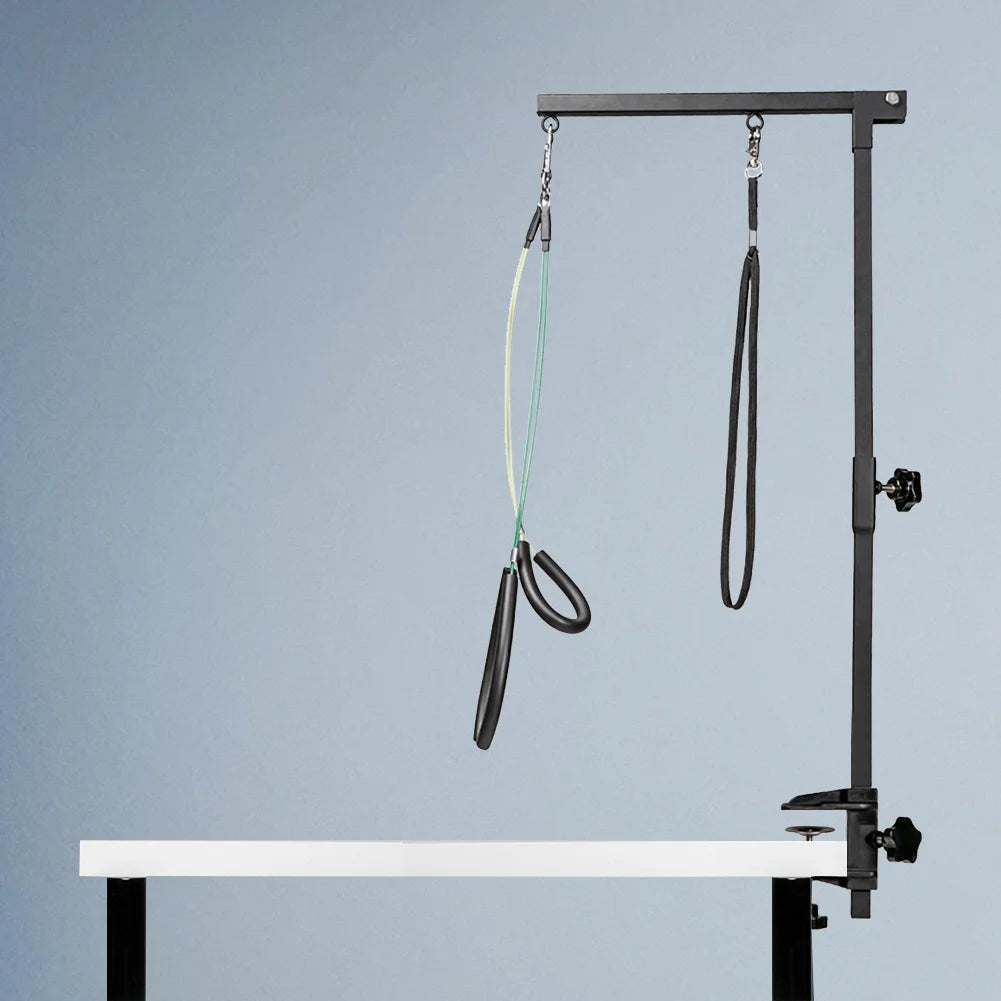 Stainless Steel Dog Grooming Stand with Adjustable Arm & Restraint Rope