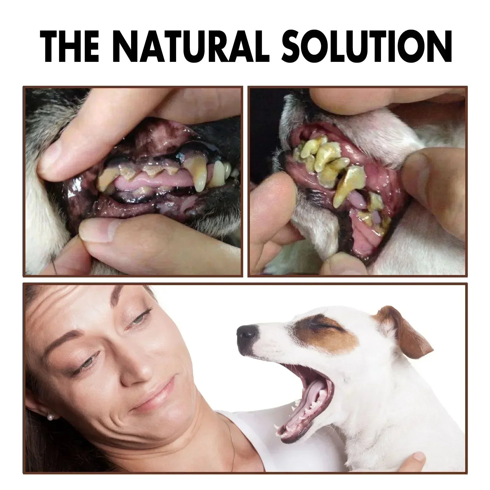 Pet Dental Care Spray – 30ml Oral Cleaning & Breath Freshener for Dogs and Cats | Deodorizing Tooth Cleaning Spray