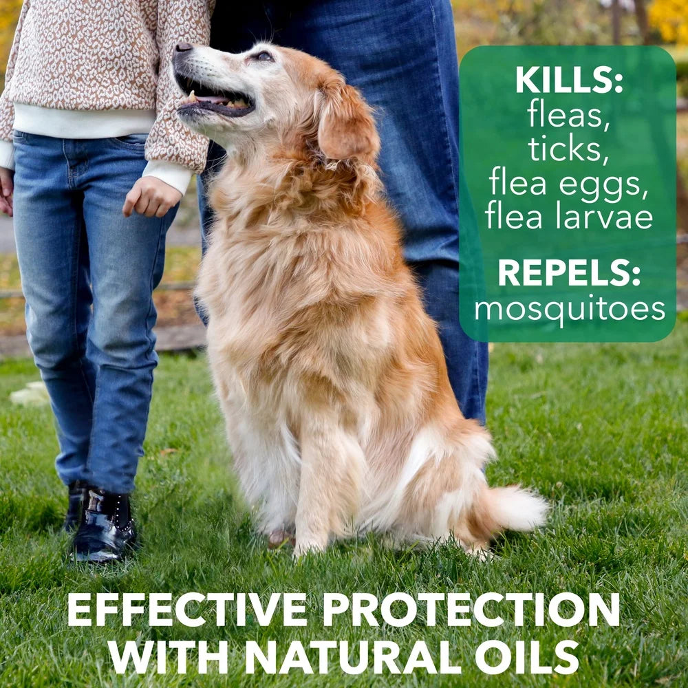 Natural Flea & Tick Dog Shampoo – Plant Extracts, Mosquito Repellent, Nourishing Coat, Safe for Pets & Kids, 14oz