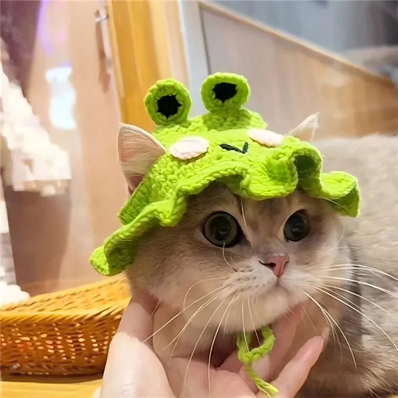 Handmade Knitted Pet Hat – Cute Party Cap for Cats, Kittens & Small Dogs