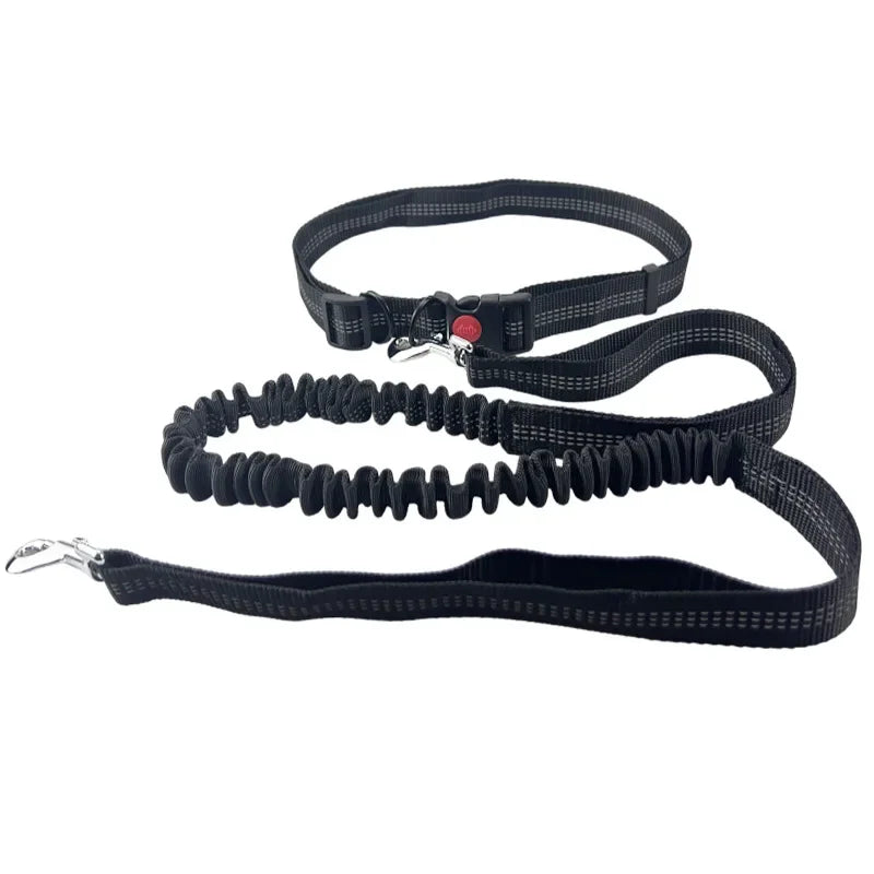 Hands-Free Dog Leash with Waist Belt – Adjustable for Walking, Running & Jogging