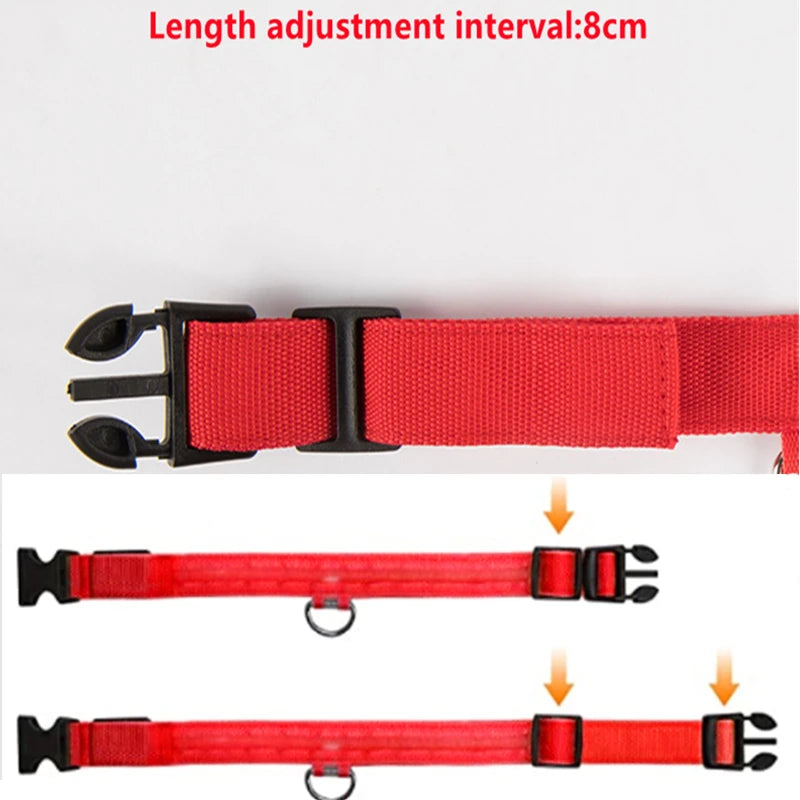 LED Luminous Dog Collar – Adjustable USB Rechargeable Glowing Pet Collar, Anti-Lost & Safety Flashing Light