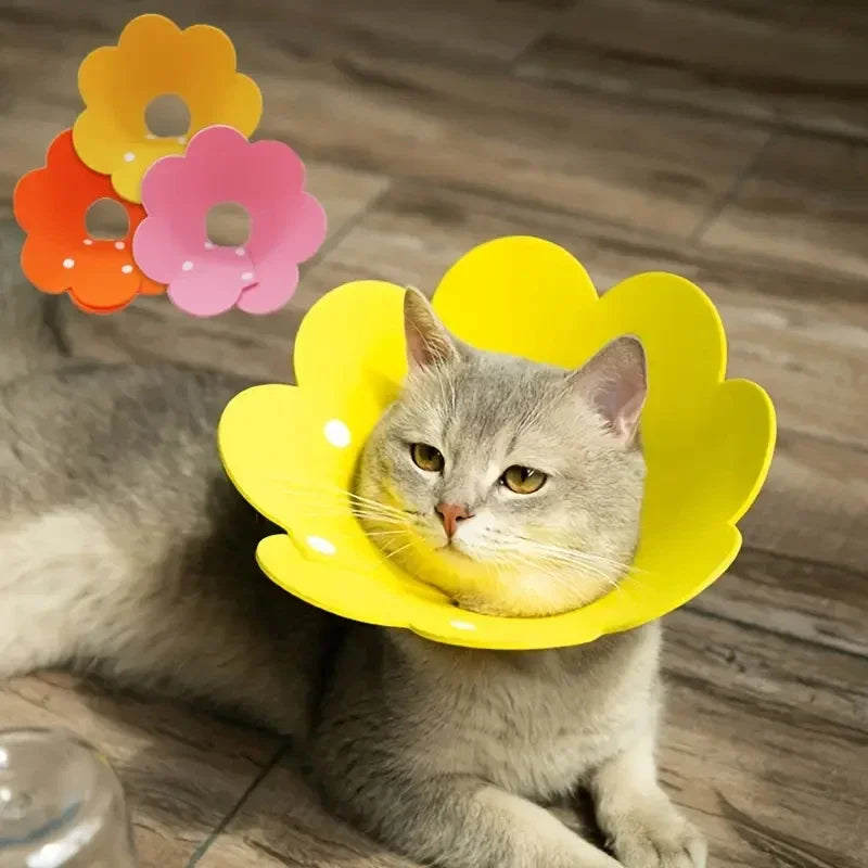 Pet Recovery Cone Collar – Anti-Bite, Anti-Lick Protective Neck Cone for Cats & Dogs