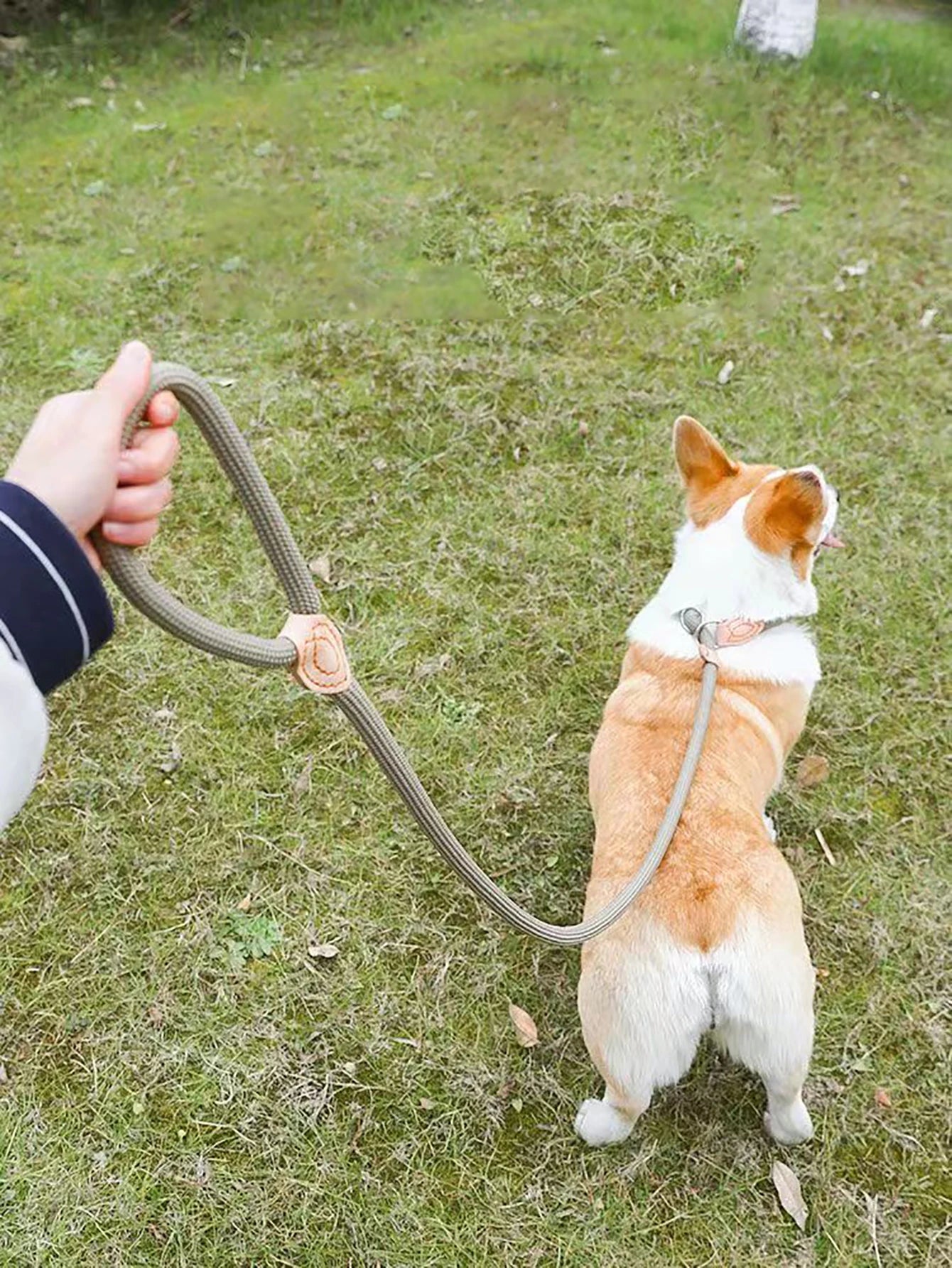 No-Pull Rope Slip Collar – P-Shaped Dog Training Leash with Durable Leather Joints & Adjustable Metal Buckle