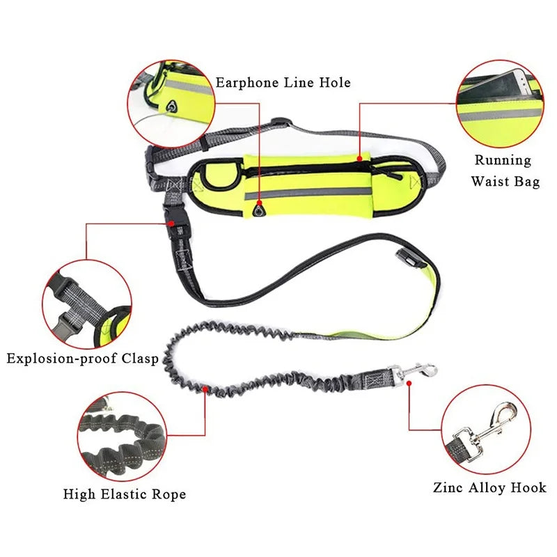 Hands-Free Dog Leash with Running Belt – Adjustable, Reflective, Multi-Functional Jogging Leash Set for Active Dog Owners