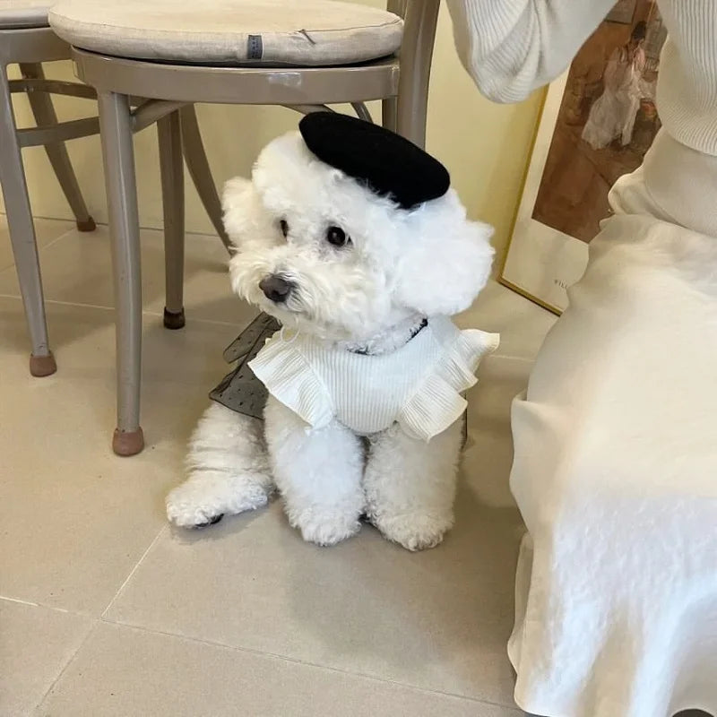 Luxury Dog Dress – Lace Bow Summer Skirt Outfit for Small Dogs & Chihuahuas
