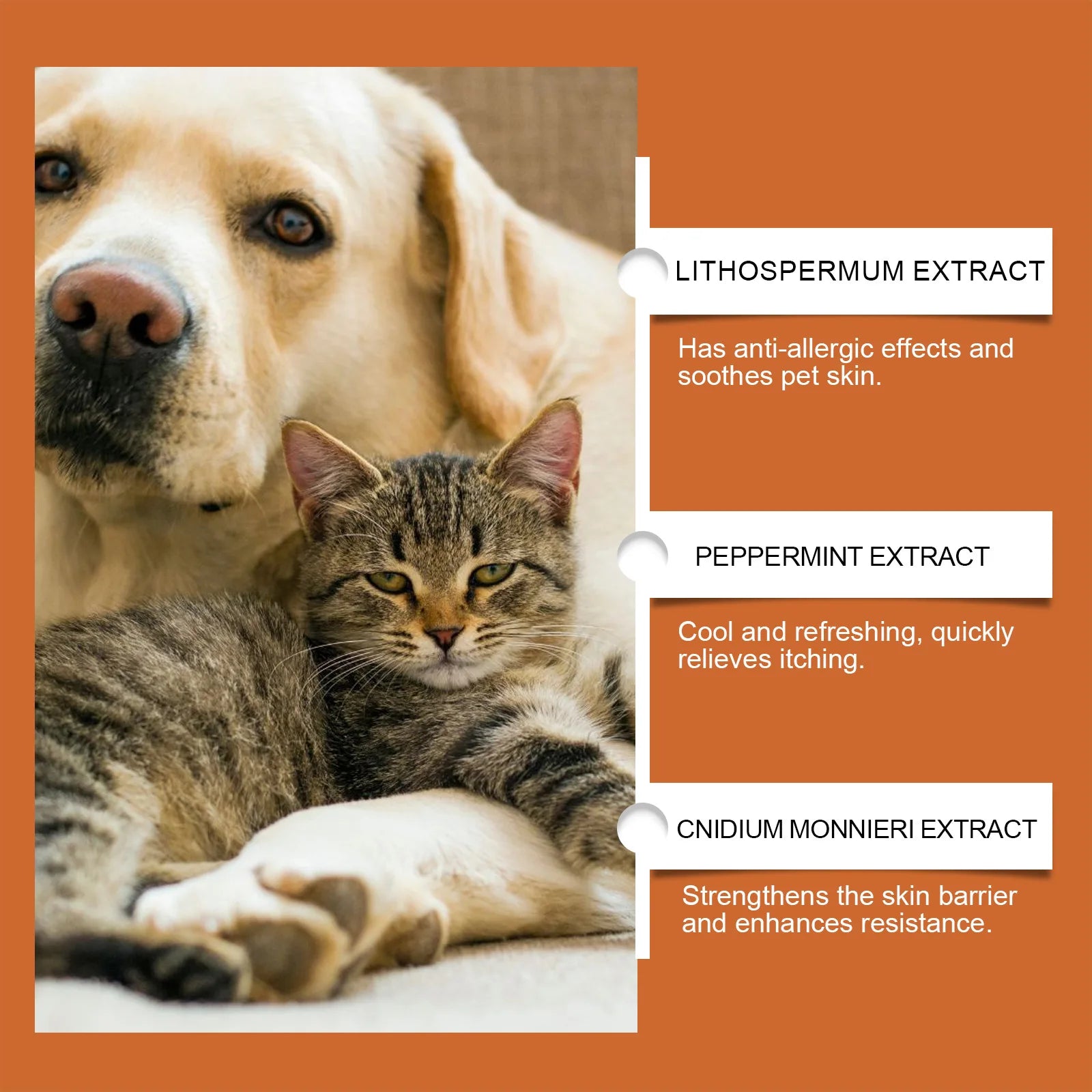 Yegbong Pet Skin Care Cream – Soothing Relief for Itching, Warts, and Ringworm