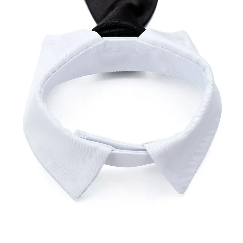 Formal Pet Tuxedo Necktie – Black & Red Bow Tie Collar for Dogs and Cats