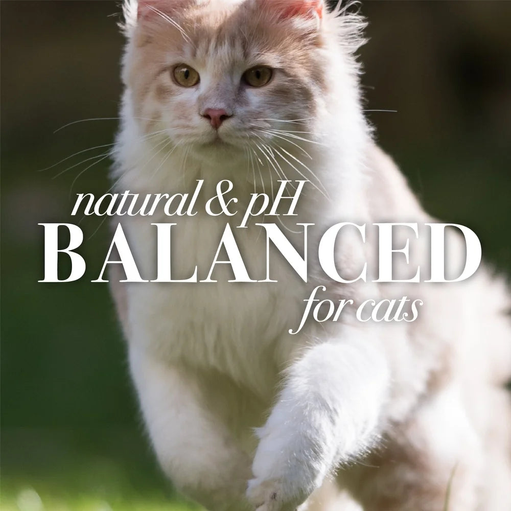 Natural Waterless Dry Shampoo for Cats & Kittens – Shea Butter & Honey Grooming Spray, pH Balanced Gentle Cleanser