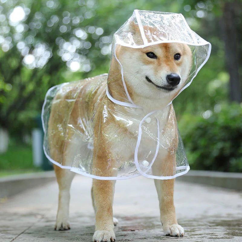 Transparent Dog Raincoat – Waterproof Hooded Rainwear for Small Dogs & Puppies