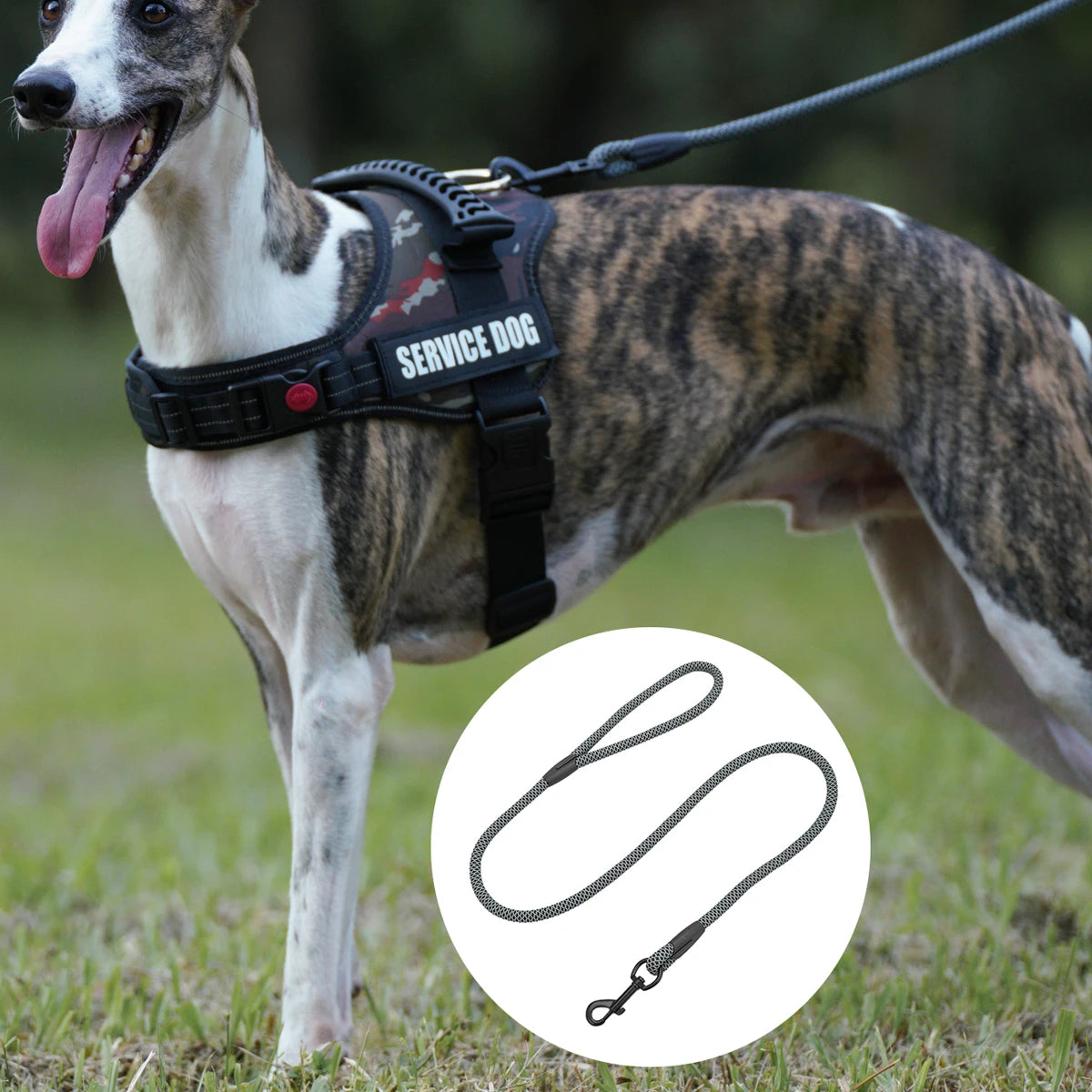 2-in-1 Classic Dog Collar and Leash Set – Adjustable Black Mesh P Rope Nylon Training Harness with Slip Strap
