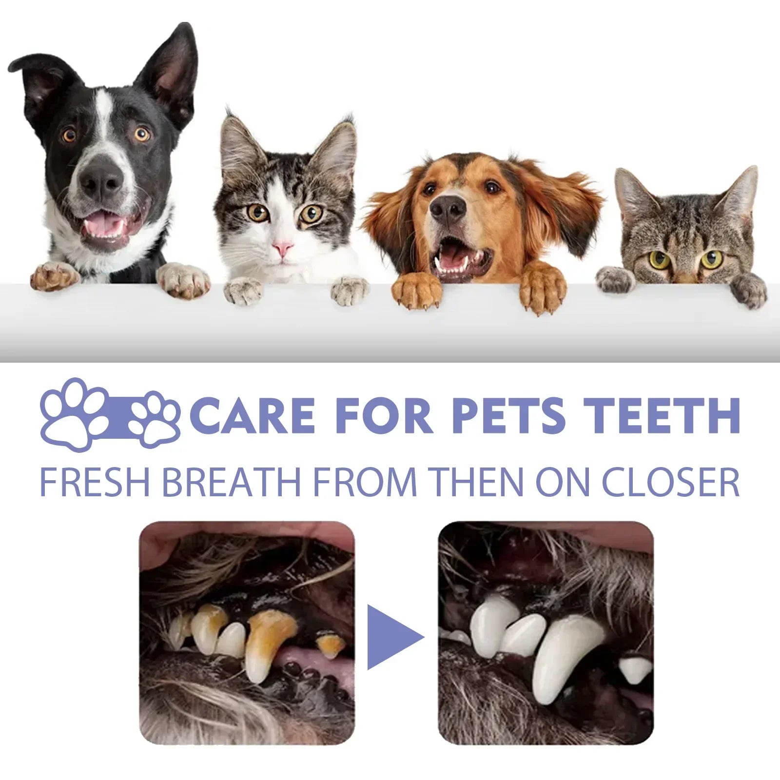 Pet Dental Spray – 30ml Tooth Cleaning & Fresh Breath Spray for Dogs & Cats, Oral Care & Bad Breath Deodorizer