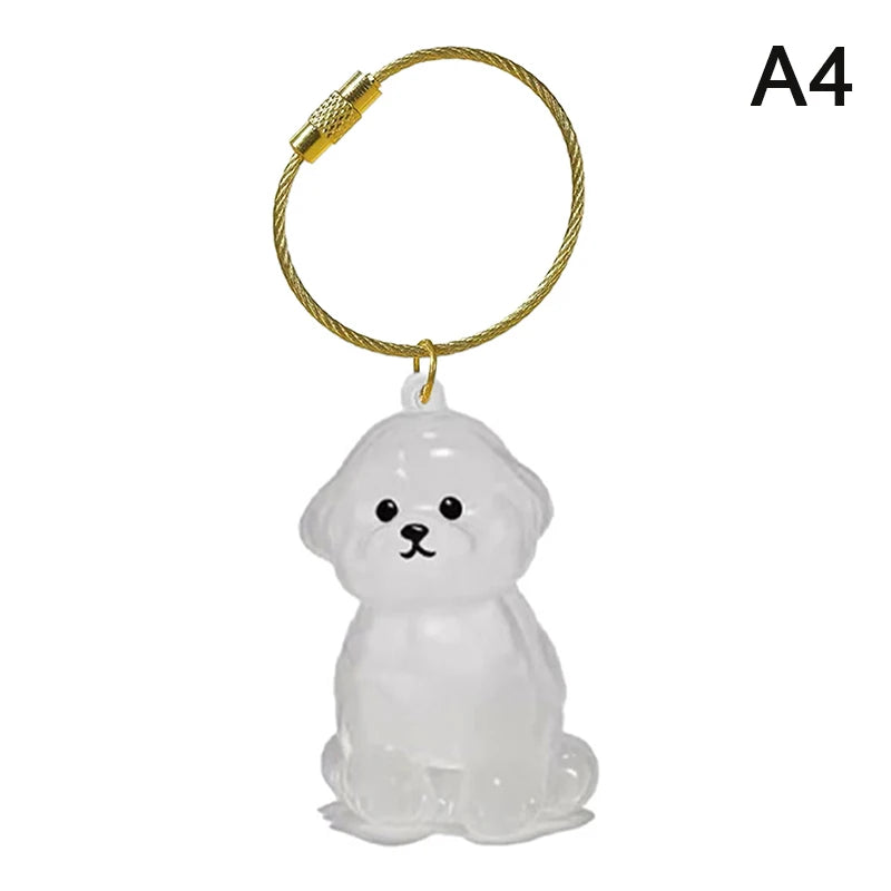 Dog Fur Keepsake Capsule – Clear Pet Hair Memorial Keychain, DIY Pendant & Home Display Gift