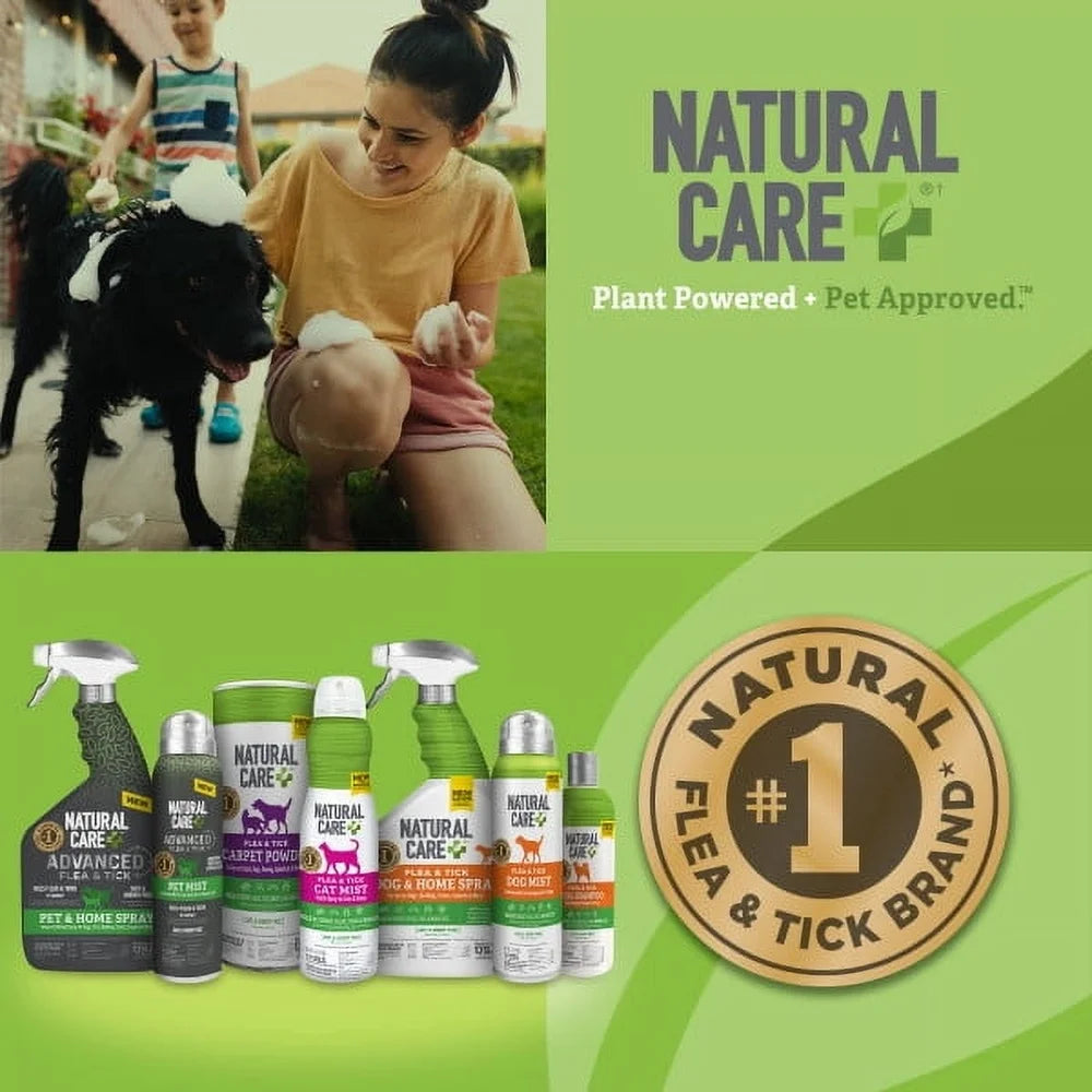 Flea & Tick Dog Shampoo – Peppermint Scent, Extra Strength, Natural Plant Extracts, Safe for Dogs 12 Weeks+, 12oz