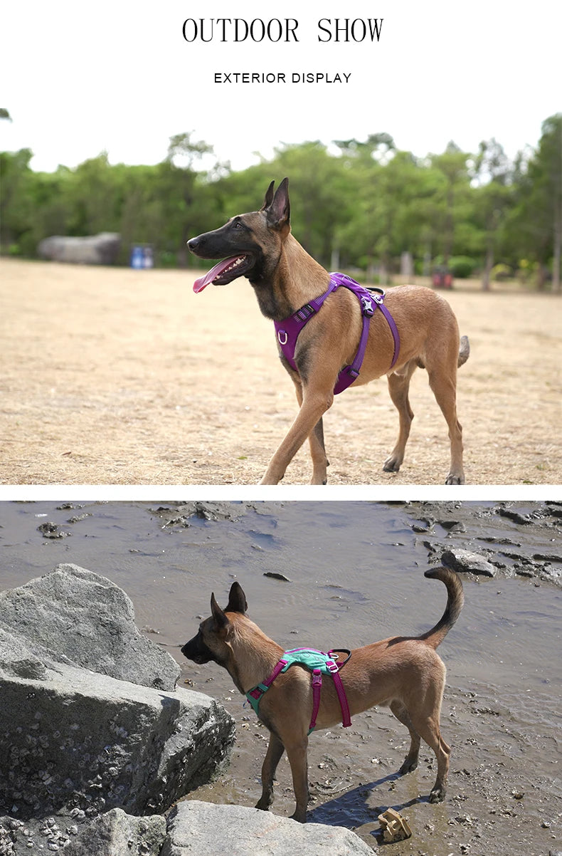 TRUELOVE Escape-Proof Tactical Dog Harness – Training Vest with Zipper Pocket & Control Handle