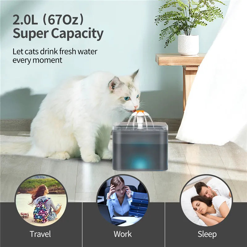 2L Automatic Pet Water Fountain with LED Light – USB Cat & Dog Water Dispenser with Recirculating Filter