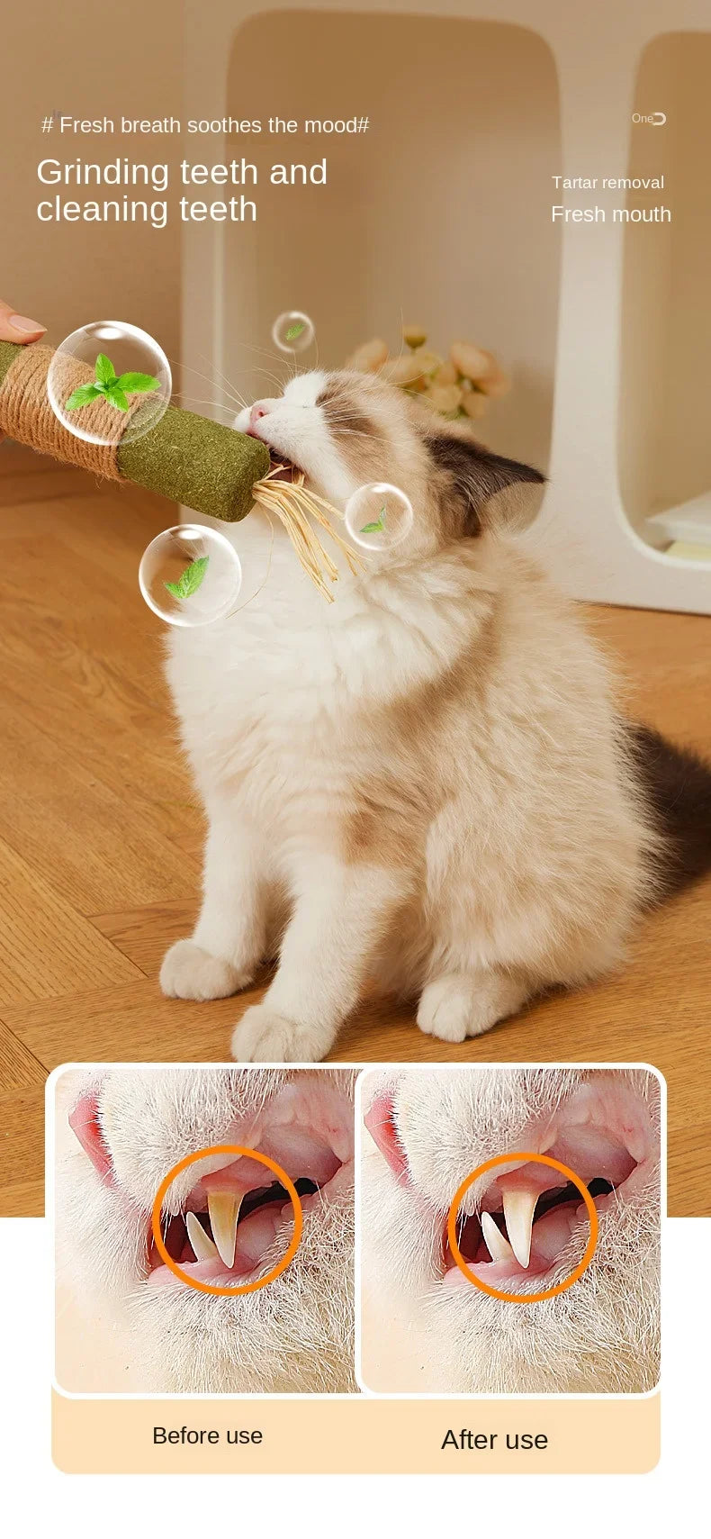 Silvervine Chew Sticks for Cats – Natural Catnip Dental Toy, Teeth Cleaning & Chewing Treats for Kittens & Adult Cats
