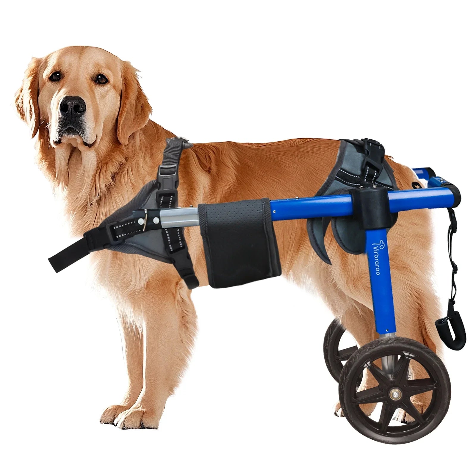 Adjustable Dog Wheelchair for Back Legs – Large Size with All-Terrain Wheels