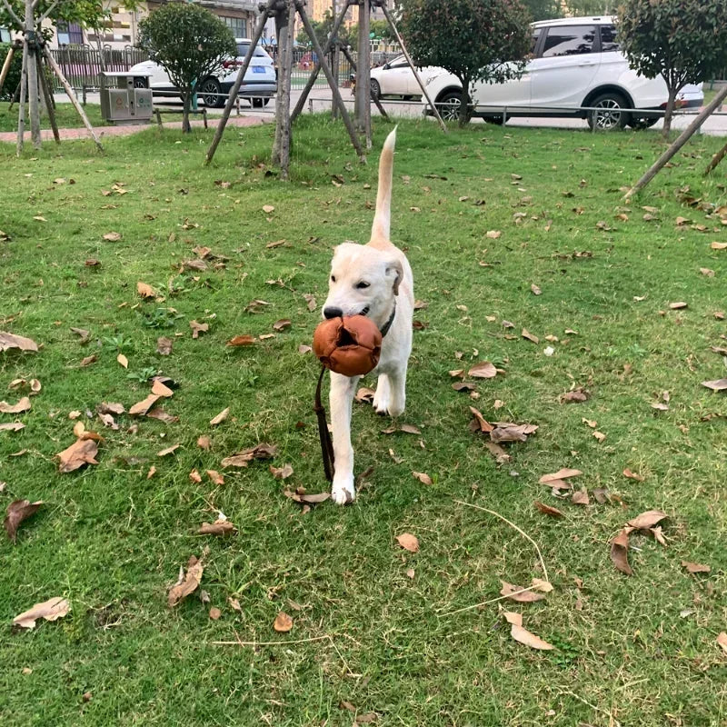 Leather Dog Training Ball – Tug & Bite Toy with Handle